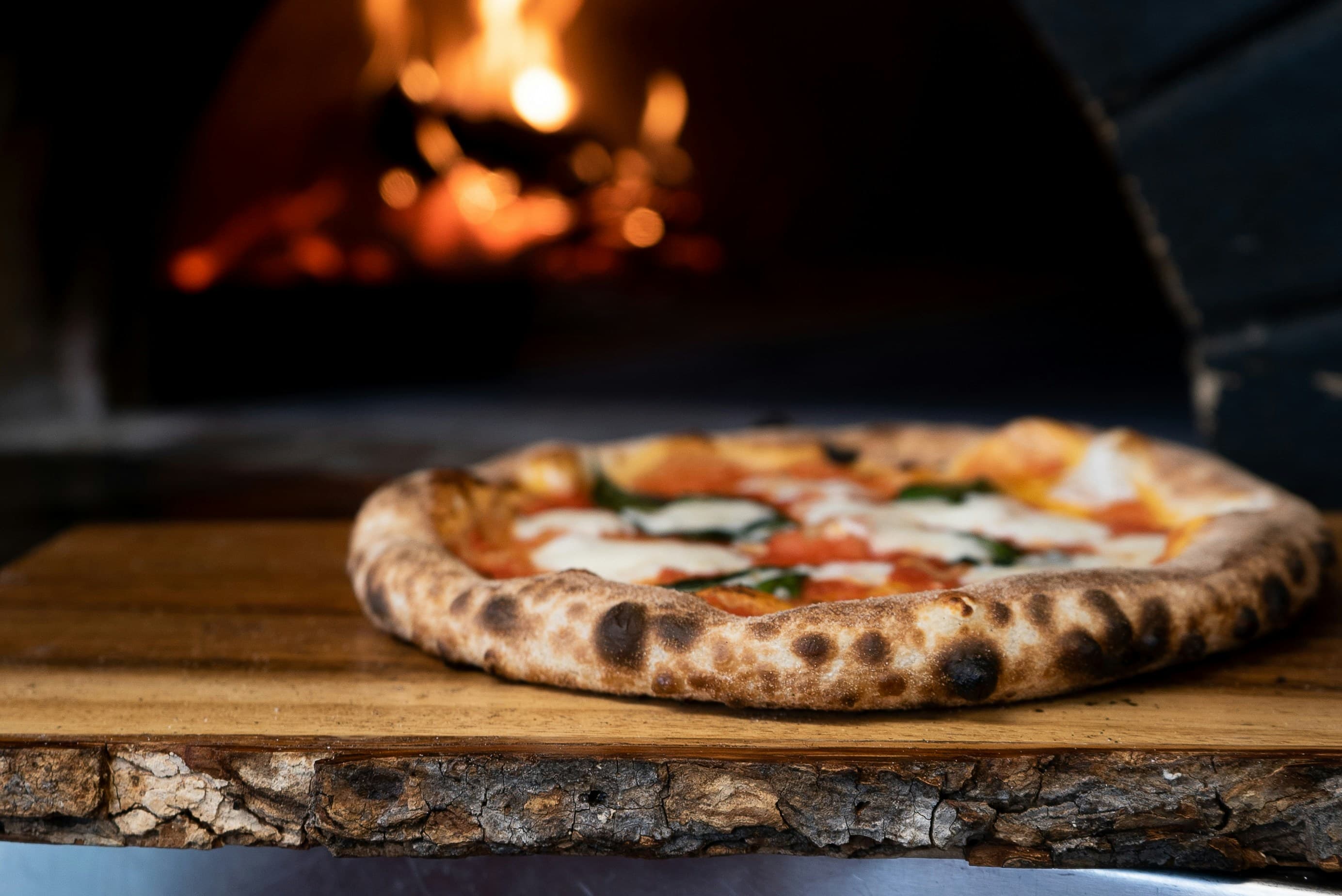 Fior di latte melting over San Marzano