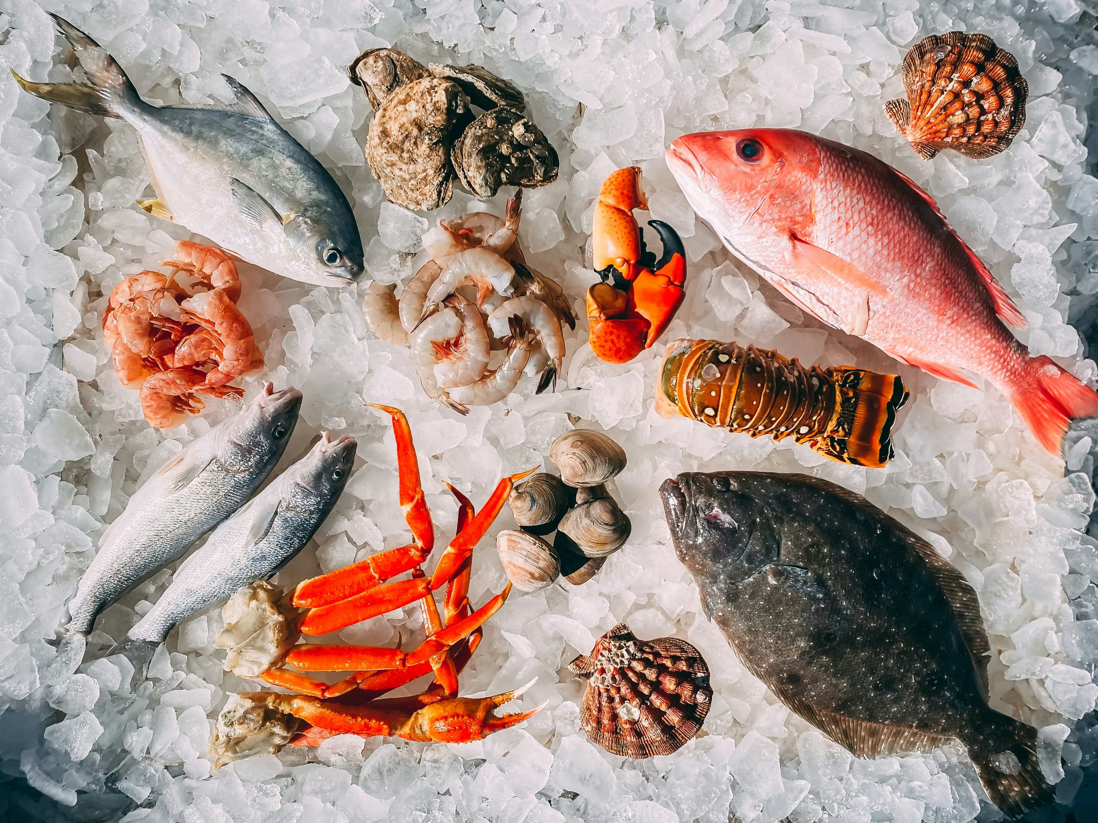 Fresh Atlantic seafood on ice